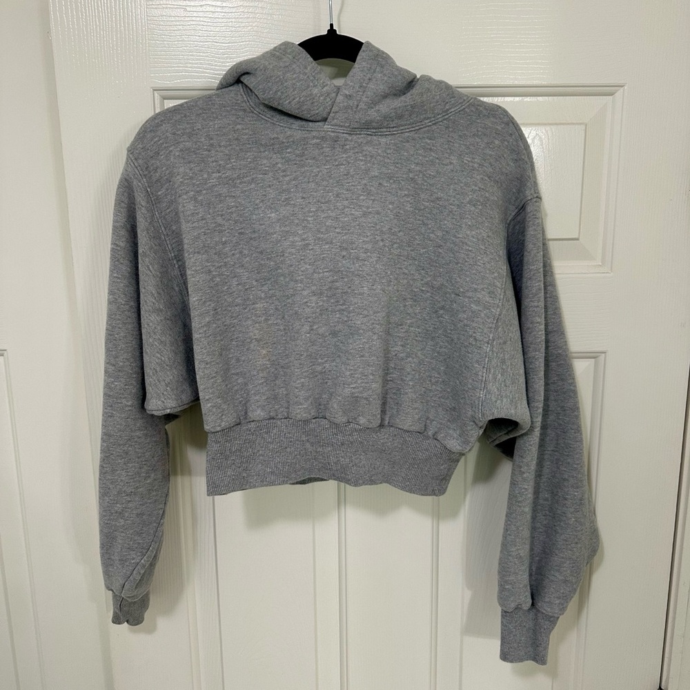 Aritzia - TNA Heather Gray Cropped Hoodie